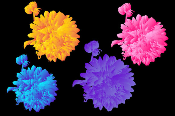 Colorful Rose 3D Design for KDP or POD